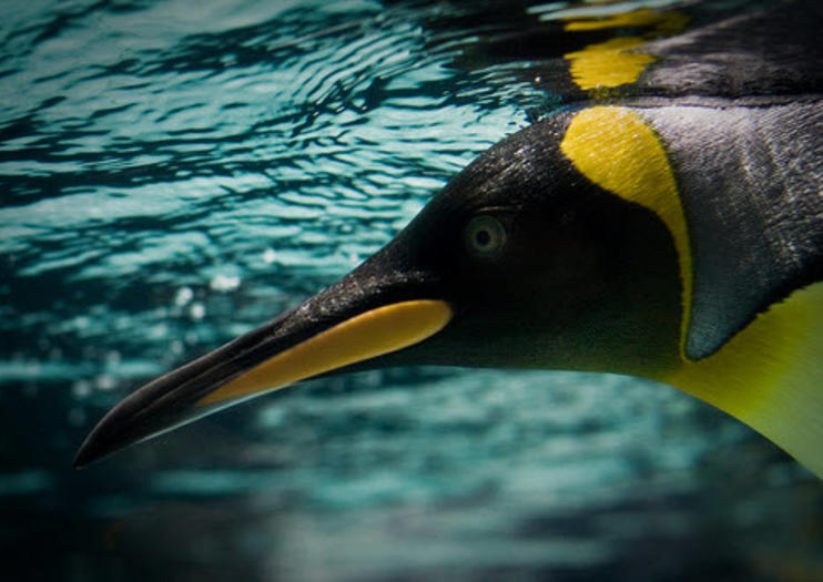 SEA LIFE® Melbourne Aquarium